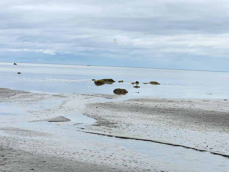 beach at low tide